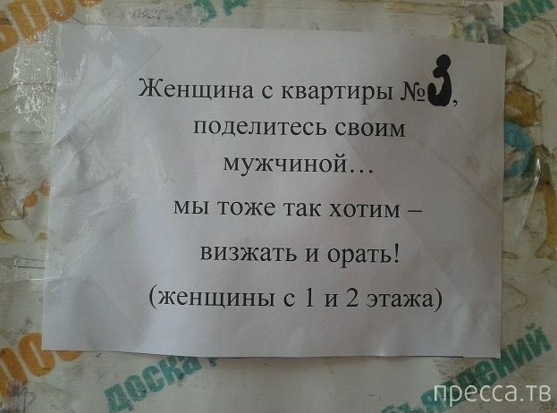 1375419096_15.jpg