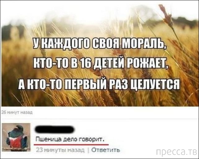 1375671436_u17.jpg