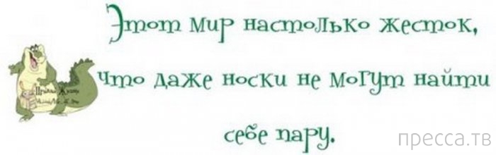 1377059863_y7.jpg
