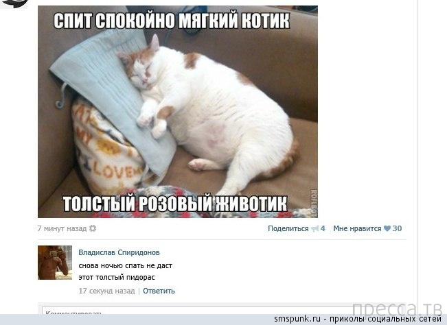 1377234629_c3.jpg