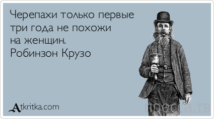 1378333416_3.jpg