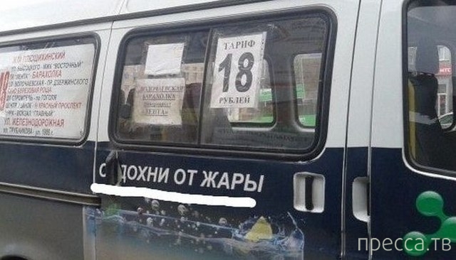 1378348837_16.jpg