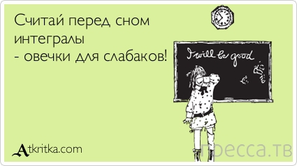 1378641879_u19.jpg
