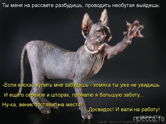 1379038488_c6.jpg