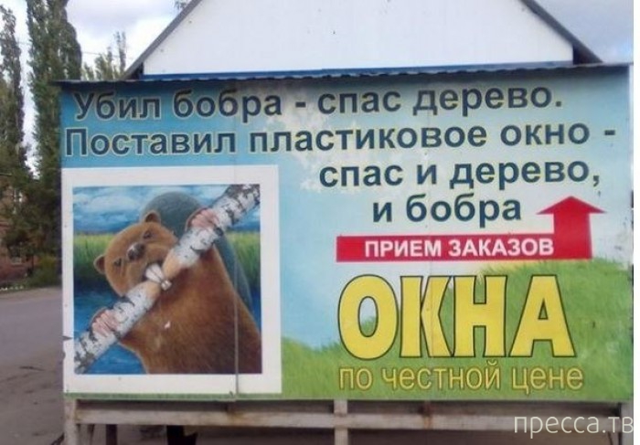 1380134178_y29.jpg