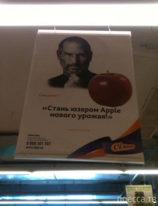1380134179_y42.jpg