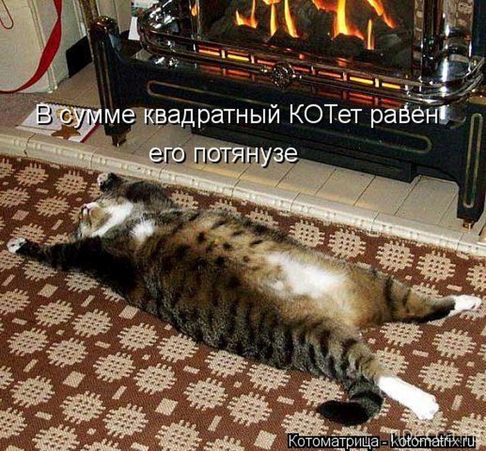1382905654_y1.jpg