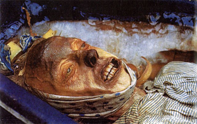 Мумия. Мумифицирования. Все о мумиях (фото, видео). Интересные факты о самых необычных мумиях в истории. 1384161995_ya8
