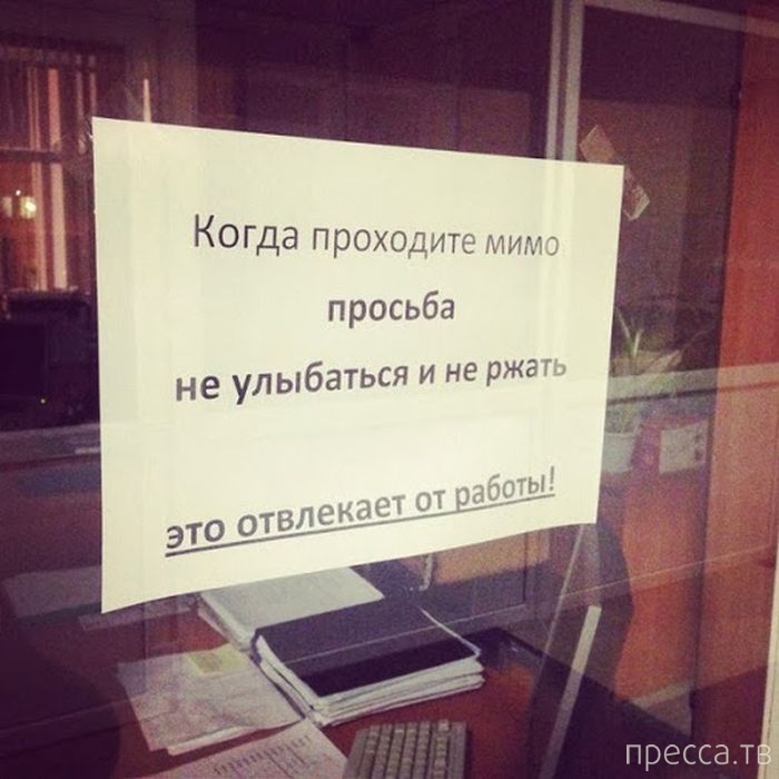 1385707778_f15.jpg