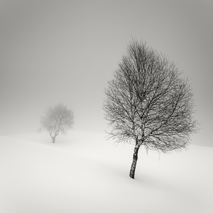 ������������ ������� �� Pierre Pellegrini
