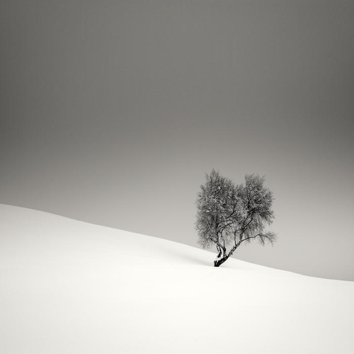 ������������ ������� �� Pierre Pellegrini