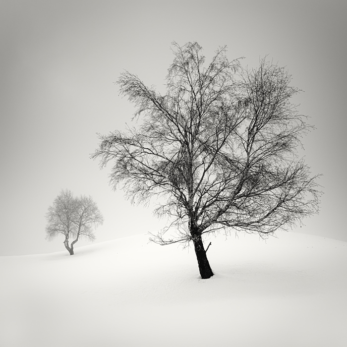 ������������ ������� �� Pierre Pellegrini