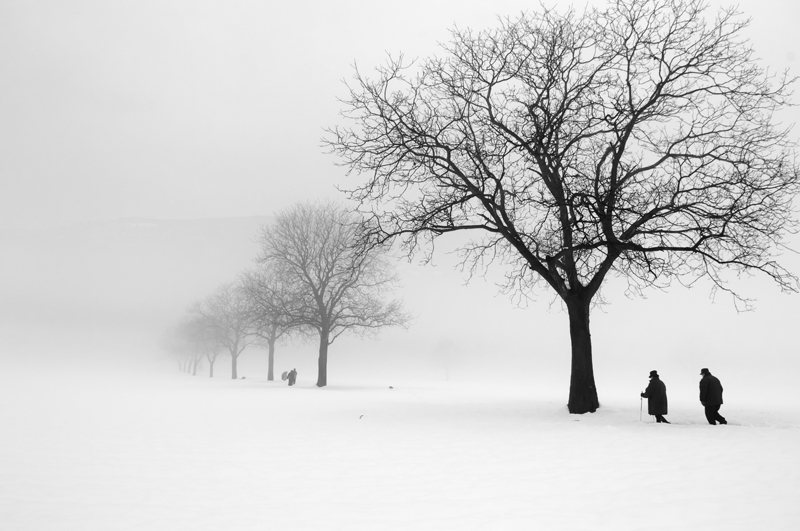 ������������ ������� �� Pierre Pellegrini