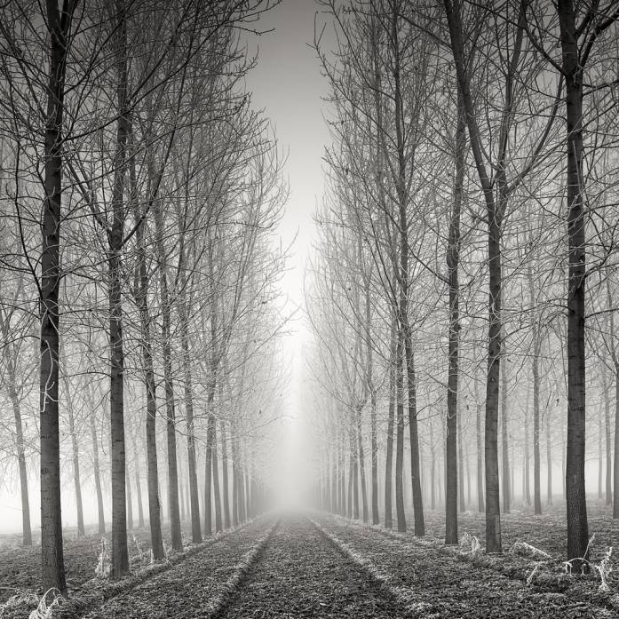 ������������ ������� �� Pierre Pellegrini