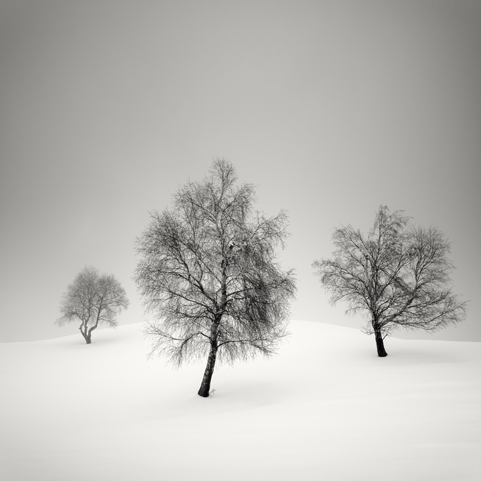 ������������ ������� �� Pierre Pellegrini