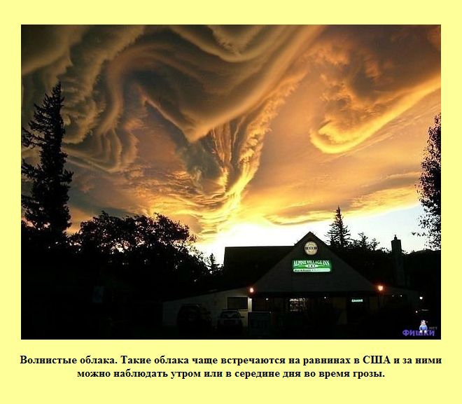 ����� � ���������