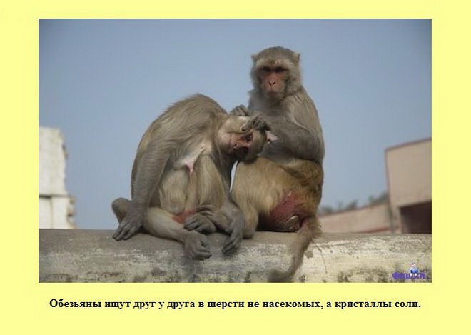 ����� � ���������