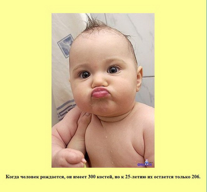 ����� � ���������