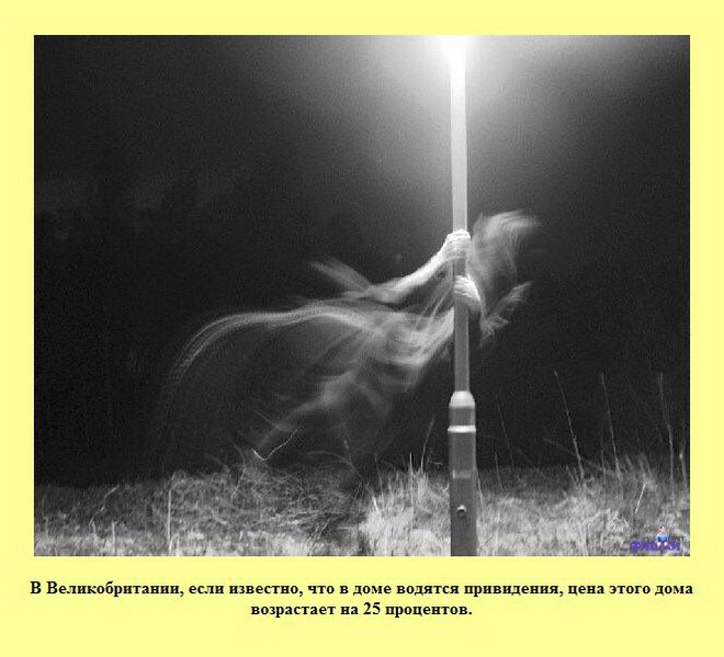 ����� � ���������