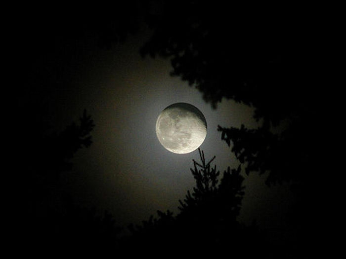 Отличные фотографии луны
