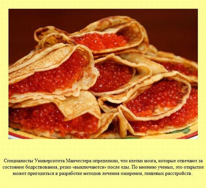 ����� � ��������� ����� 2 (37 ����)