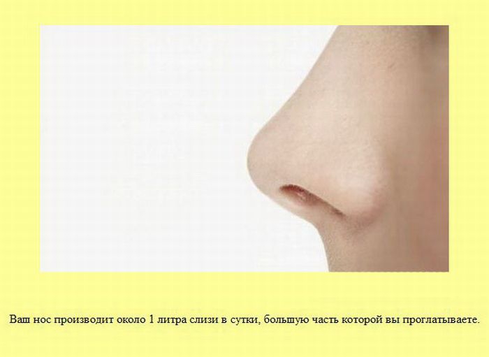 ����� � ��������� ����� 2 (37 ����)