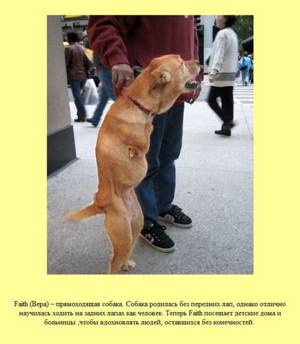 ����� � ��������� ����� 2 (37 ����)