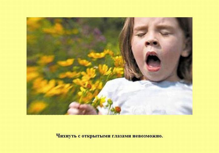 ����� � ��������� ����� 2 (37 ����)