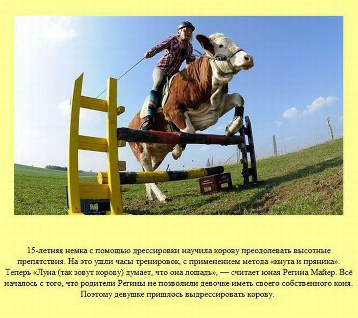 ����� � ��������� ����� 2 (37 ����)