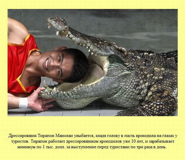 ����� � ��������� ����� 2 (37 ����)