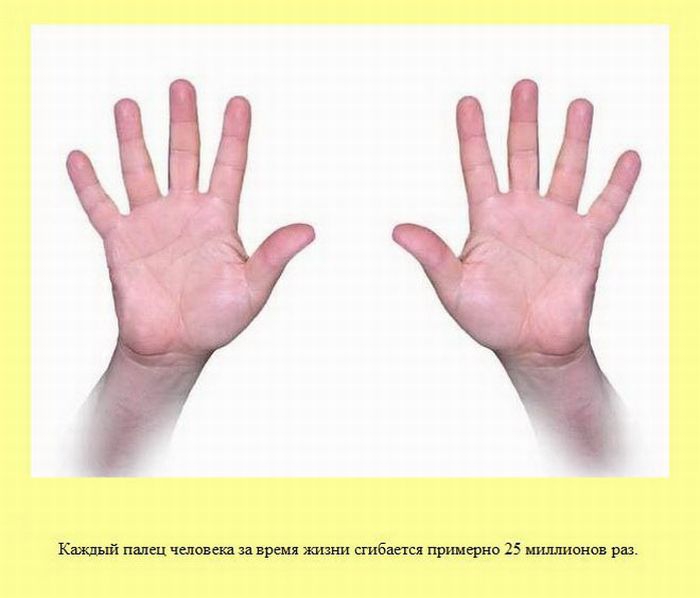 ����� � ��������� ����� 2 (37 ����)