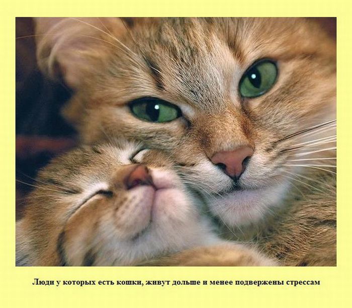 ����� � ��������� ����� 2 (37 ����)