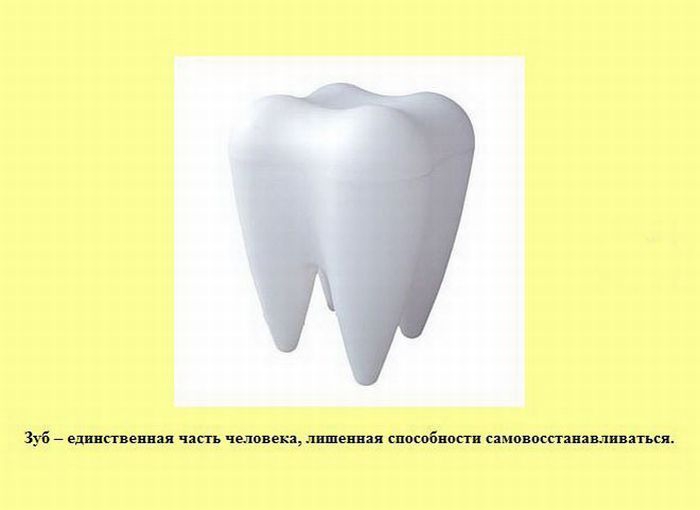 ����� � ��������� ����� 2 (37 ����)