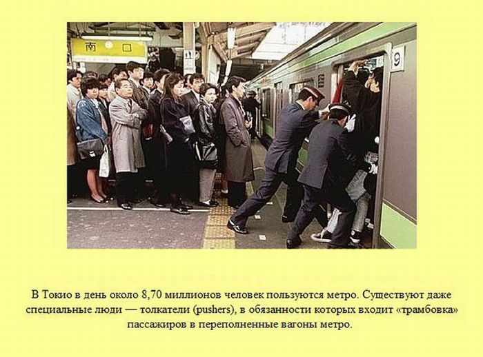 ����� � ��������� ����� 2 (37 ����)