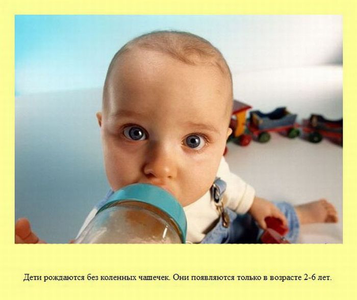 ����� � ��������� ����� 2 (37 ����)