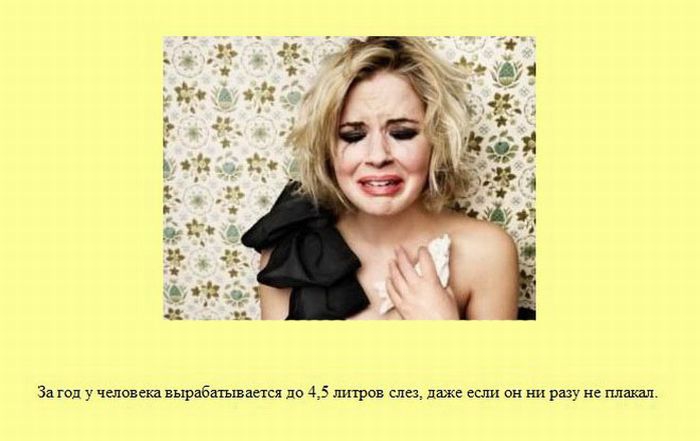 ����� � ��������� ����� 2 (37 ����)