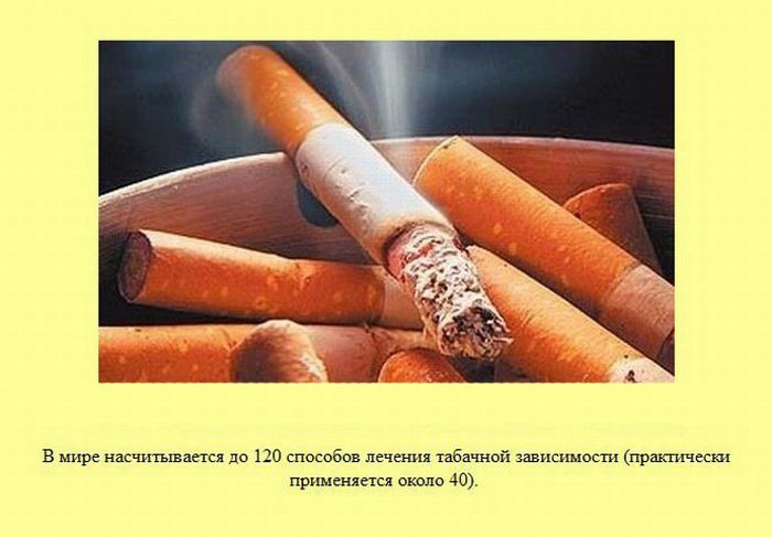 ����� � ��������� ����� 2 (37 ����)