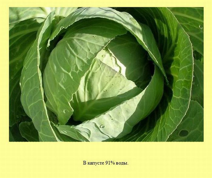 ����� � ��������� ����� 2 (37 ����)