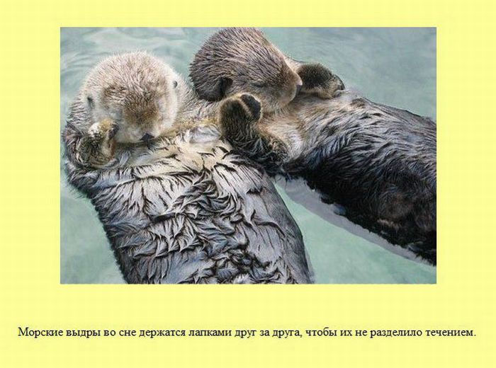 ����� � ��������� ����� 2 (37 ����)