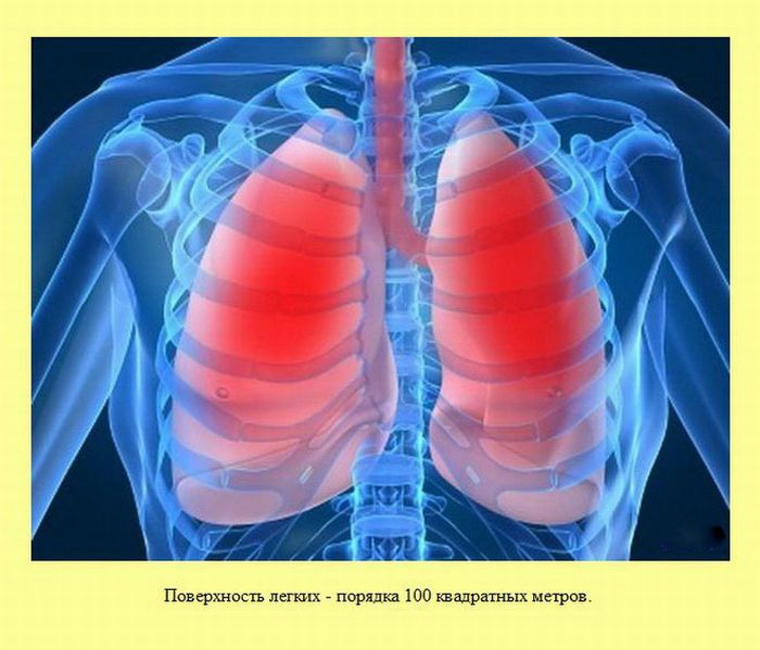 ����� � ��������� ����� 2 (37 ����)