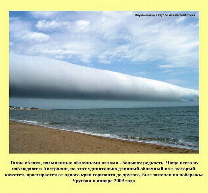 ����� � ��������� ����� 2 (37 ����)