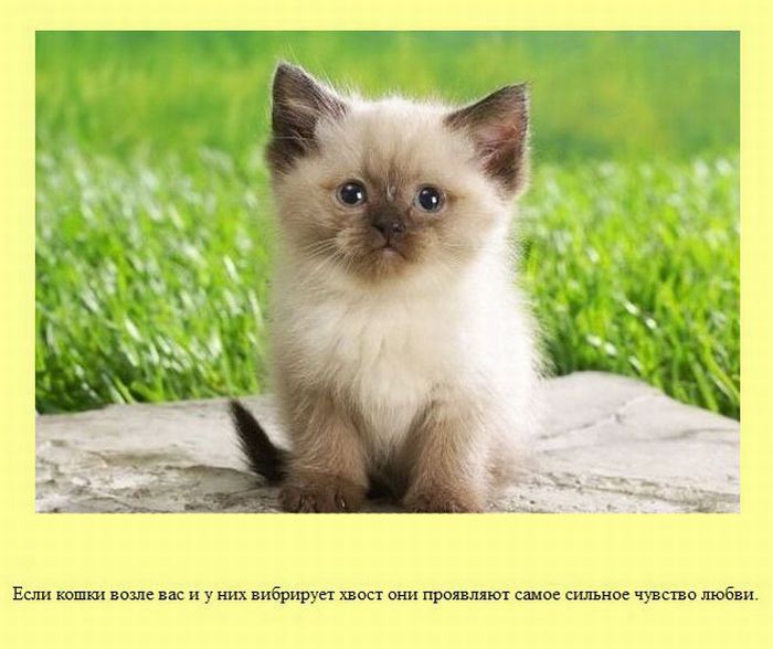 ����� � ��������� ����� 2 (37 ����)