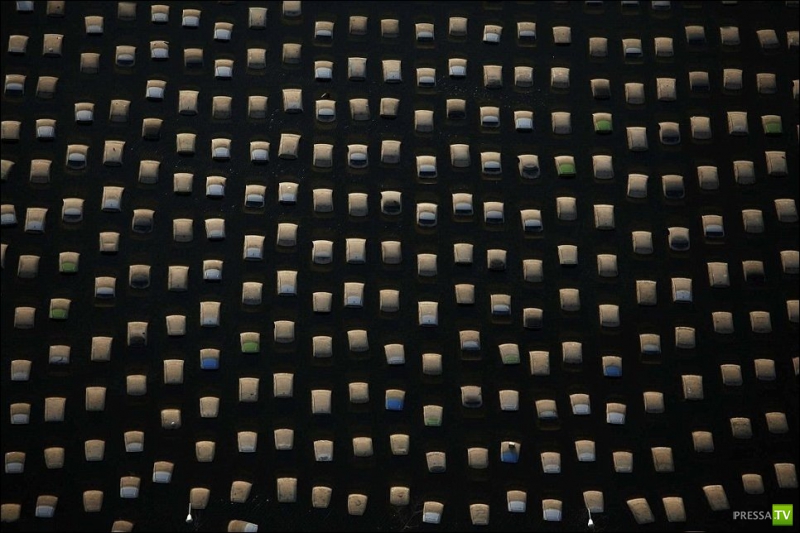 ����� HONDA ����� ���������� � ��������