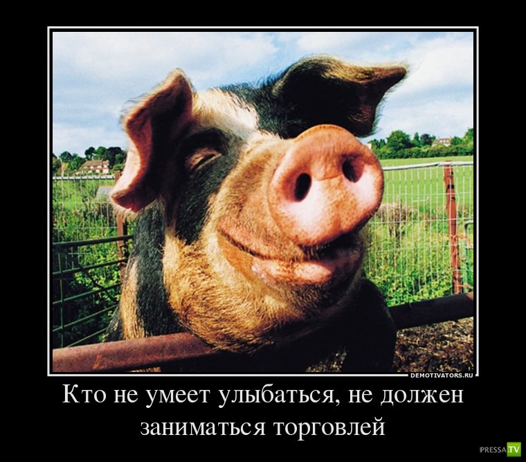 �������� ����� ���������� ������������� (49 ����)