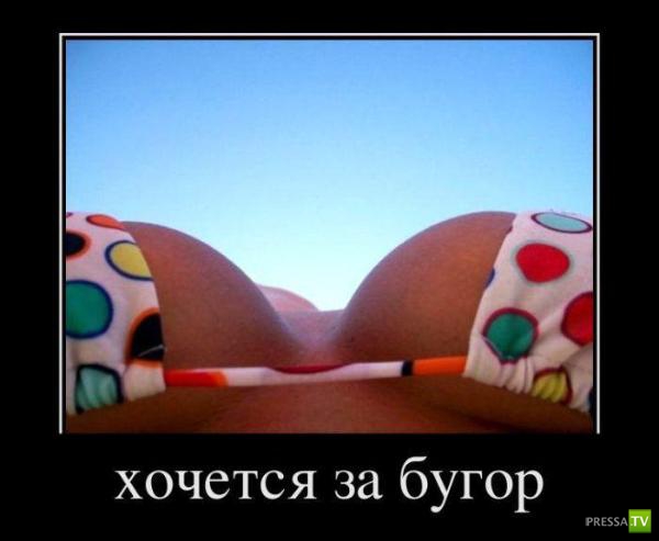 �������� ����� ���������� ������������� (49 ����)