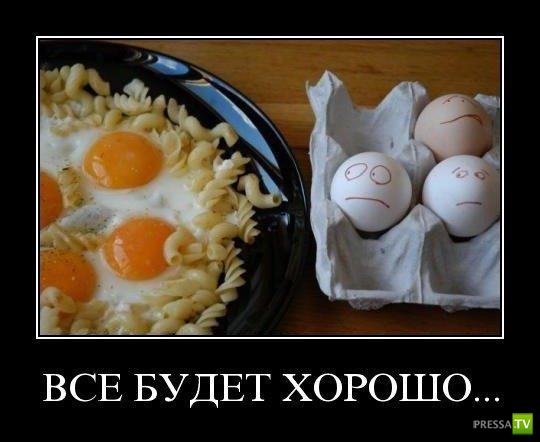 �������� ����� ���������� ������������� (49 ����)