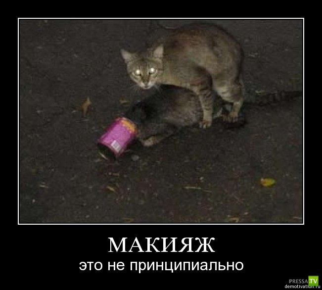 �������� ����� ���������� ������������� (49 ����)