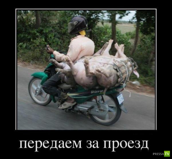 �������� ����� ���������� ������������� (49 ����)