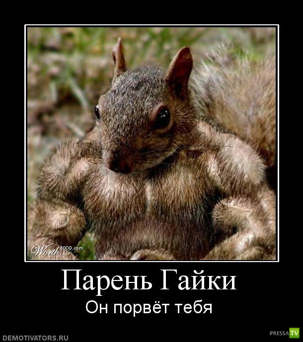 �������� ����� ���������� ������������� (49 ����)