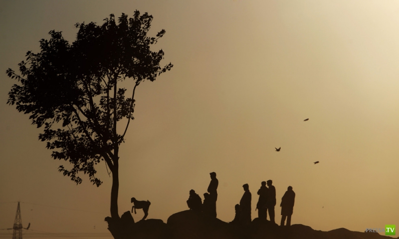 ������ ���������� Associated press �� ������ (26 ����)